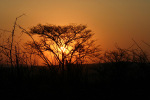 Sunset in Kruger