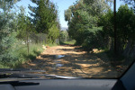 Road to Branch 1