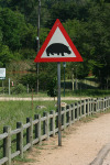 Hippo Crossing Sign