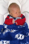 Jack in BYU Blanket