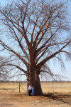 Us By Baobab