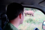 Jeff and Rhino