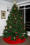 Christmas Tree 2007 Flash