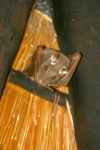 Bat Hanging