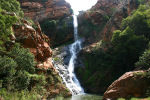 Falls in Botanic Gardens 2