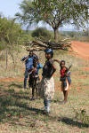 Girl with Wood on Head 2