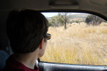 Jane Watching Giraffes