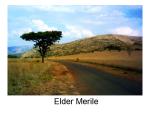 Slide14